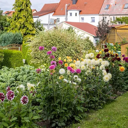 Ferienwohnung Gartenstadt Seilerberg Freiberg Esterno foto