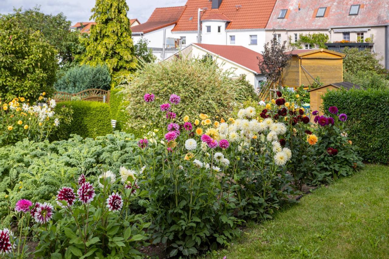 Gartenstadt Seilerberg Freiberg